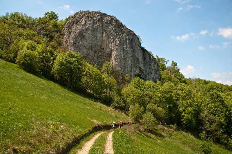 HahliÄ‡