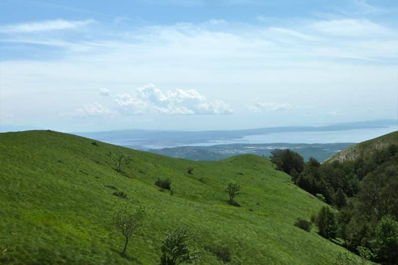 HahliÄ‡