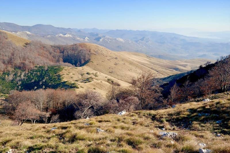 HahliÄ‡