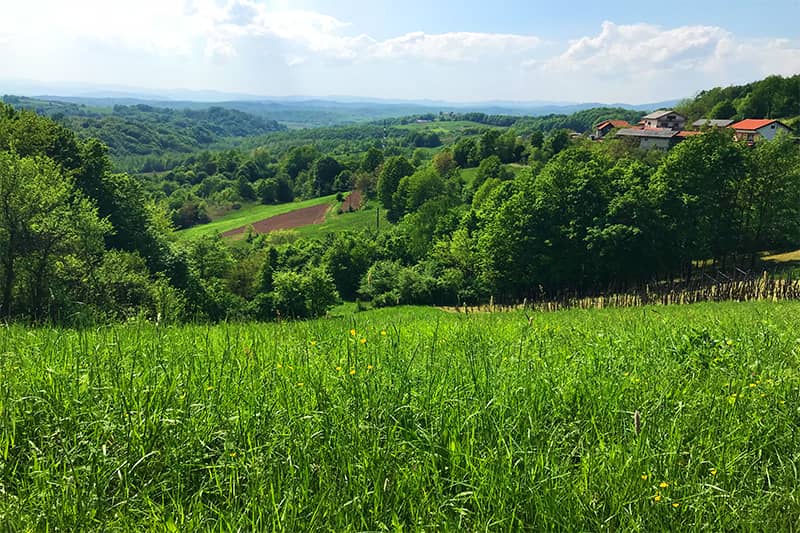 NetretiÄ‡